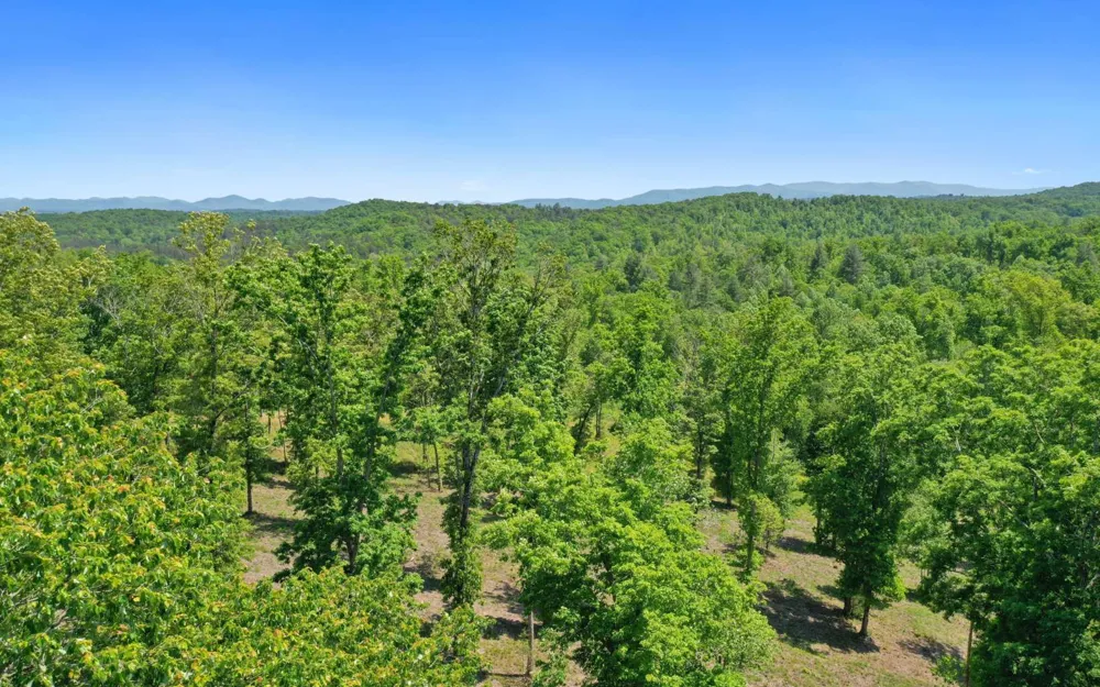 Lt27,28B Haven Way Blue Ridge, GA 30513