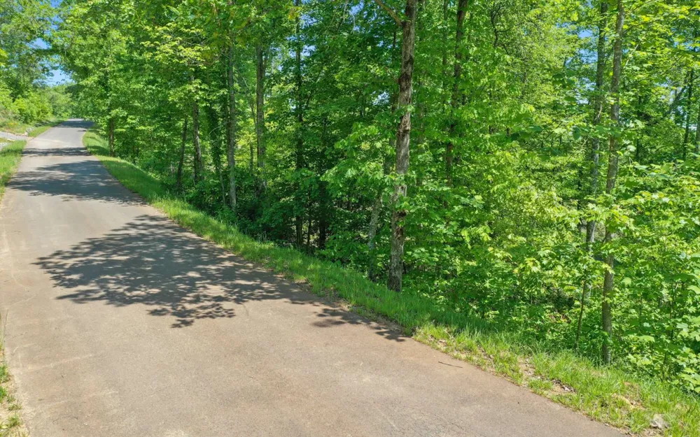 Lt27,28B Haven Way Blue Ridge, GA 30513