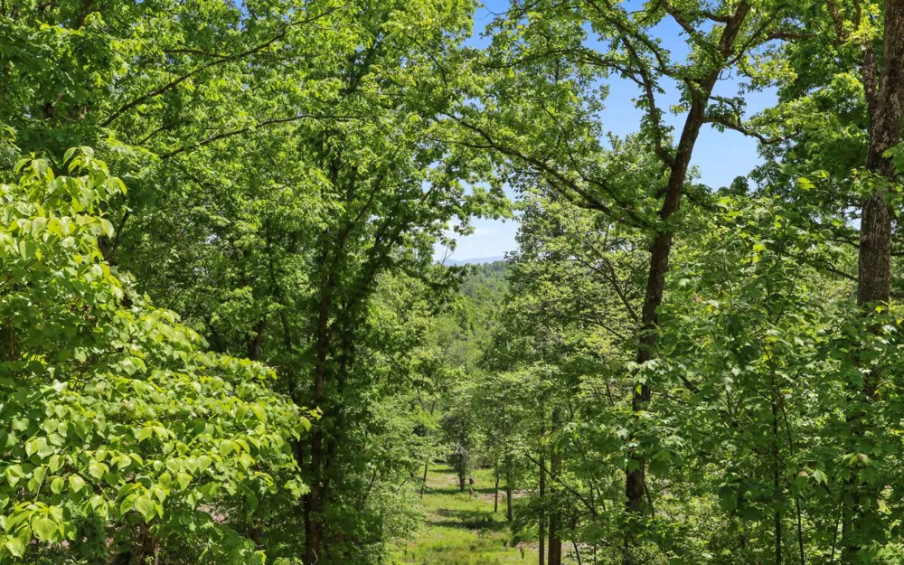 Lt27,28B Haven Way Blue Ridge, GA 30513