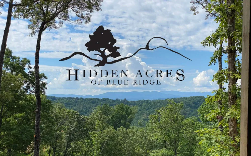 Lt27,28B Haven Way Blue Ridge, GA 30513