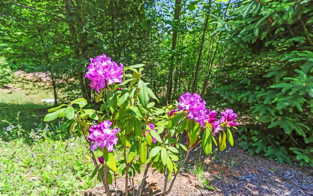 Lt27,28B Haven Way Blue Ridge, GA 30513