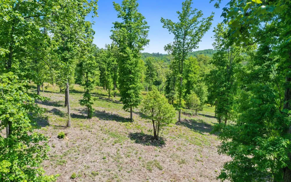 Lt27,28B Haven Way Blue Ridge, GA 30513