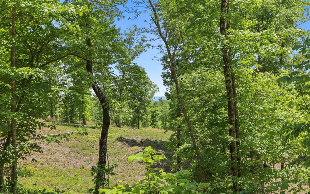 Lt27,28B Haven Way Blue Ridge, GA 30513