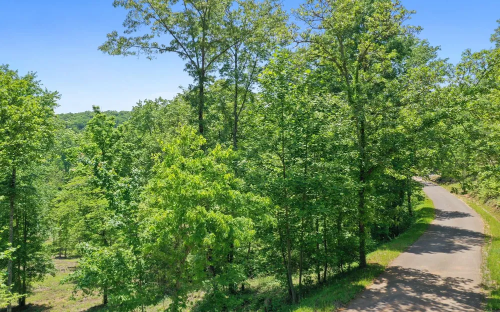 Lt27,28B Haven Way Blue Ridge, GA 30513
