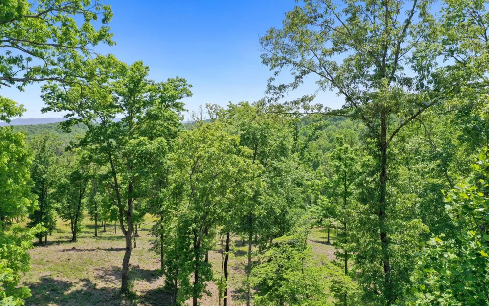 Lt27,28B Haven Way Blue Ridge, GA 30513