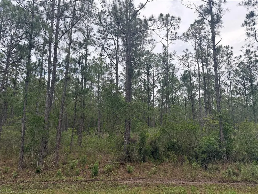 6438 MERRICK DRIVE Sebring, FL 33872