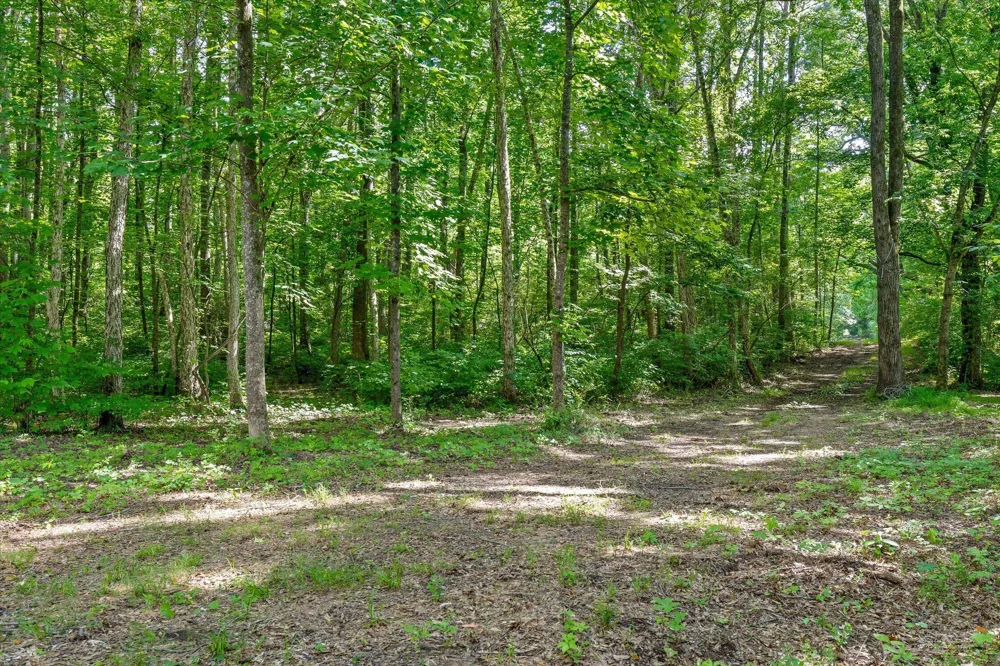 Hildabrand Road Ocoee, TN 37361