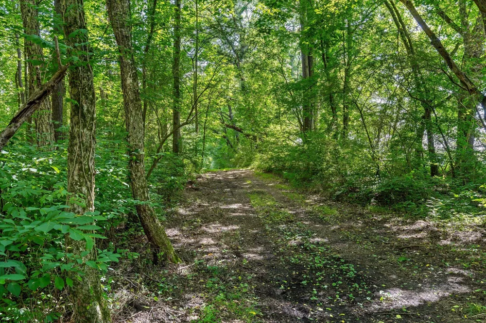 Hildabrand Road Ocoee, TN 37361