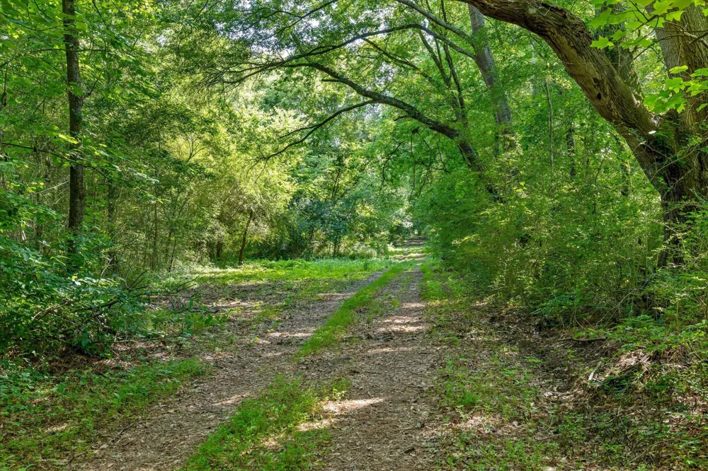 Hildabrand Road Ocoee, TN 37361