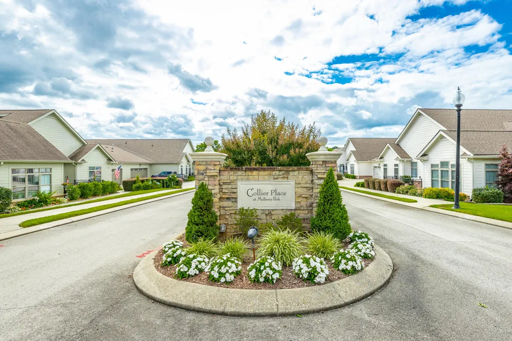 9551 Collier Place Ooltewah, TN 37363