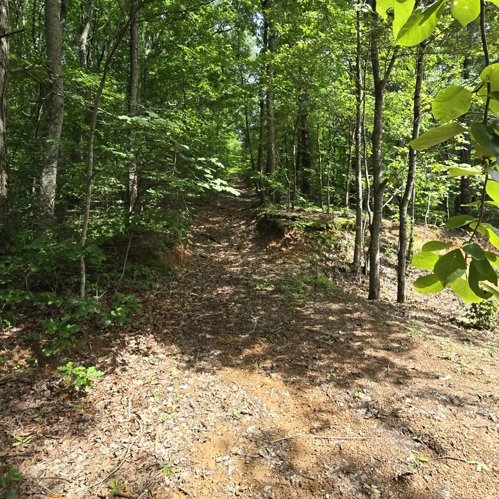 185 Co Rd 179 Decatur, TN 37322
