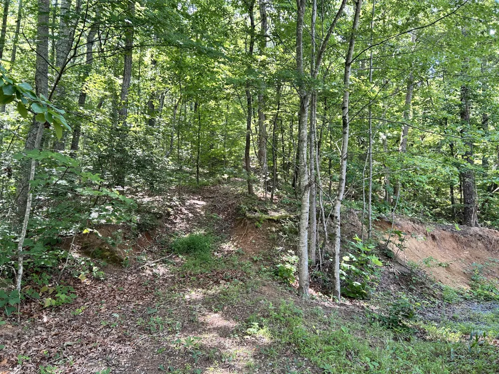 185 Co Rd 179 Decatur, TN 37322