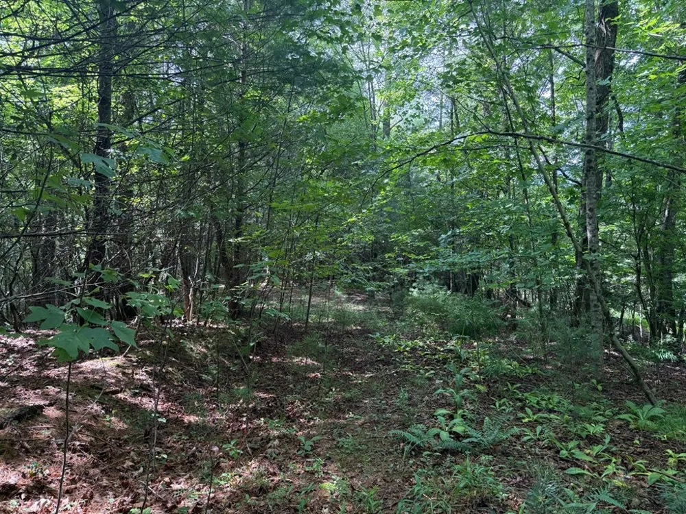 YOUNCE CREEK RD Franklin, NC 28734