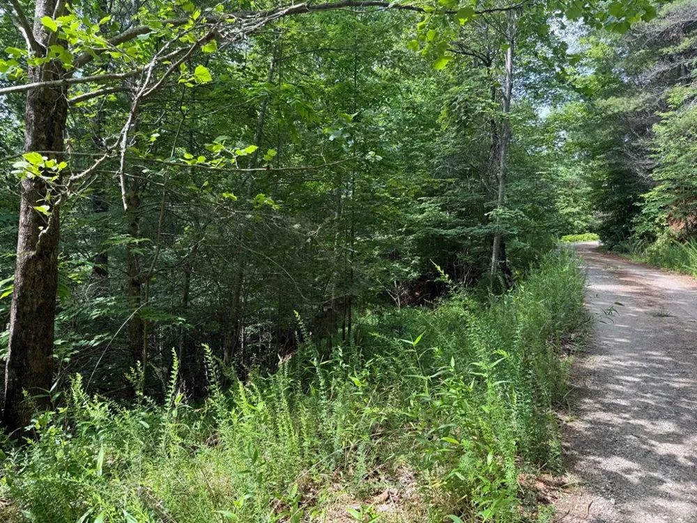YOUNCE CREEK RD Franklin, NC 28734