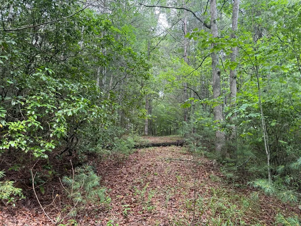 YOUNCE CREEK RD Franklin, NC 28734