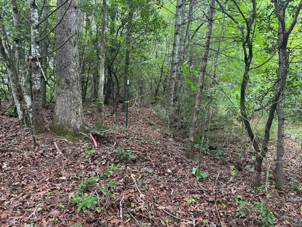 YOUNCE CREEK RD Franklin, NC 28734