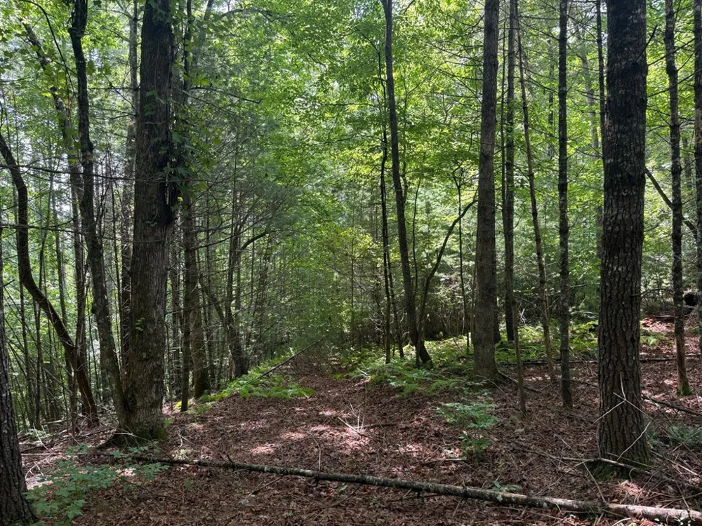 YOUNCE CREEK RD Franklin, NC 28734