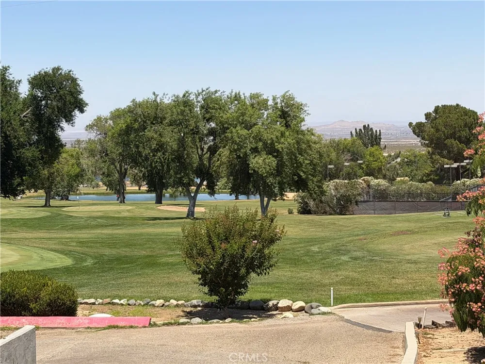 32038 Crystalaire Llano, CA 93544