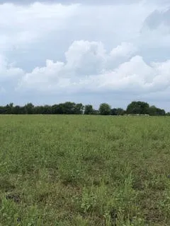County Road 1222 Deport, TX 75435