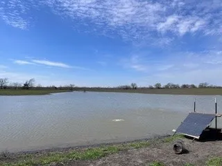 County Road 1222 Deport, TX 75435