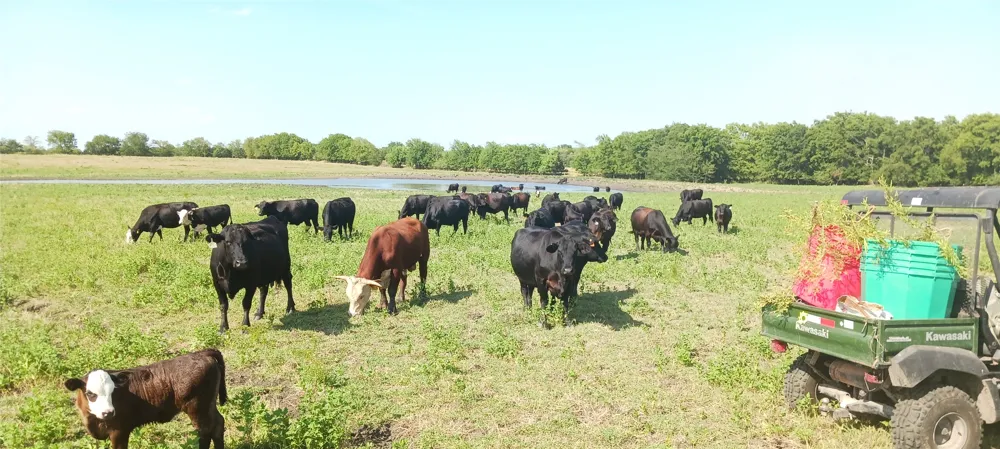 County Road 1222 Deport, TX 75435