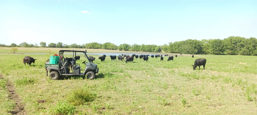 County Road 1222 Deport, TX 75435