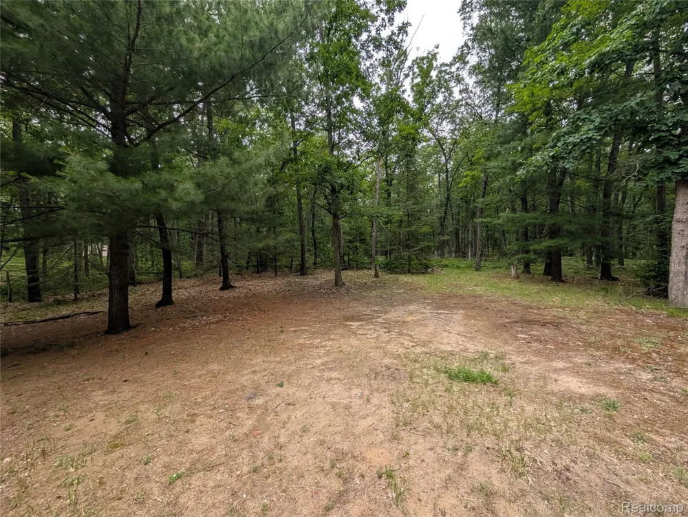 3817 S Townline Road Denton Township, MI 48651
