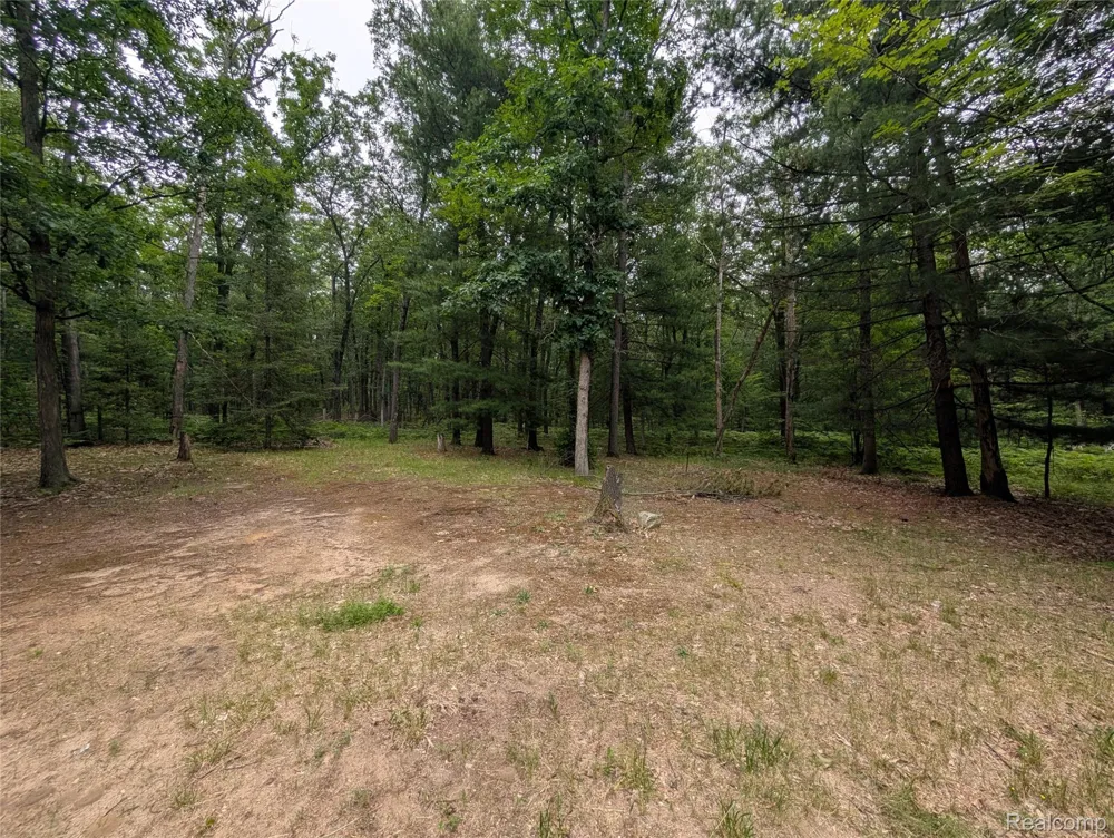 3817 S Townline Road Denton Township, MI 48651