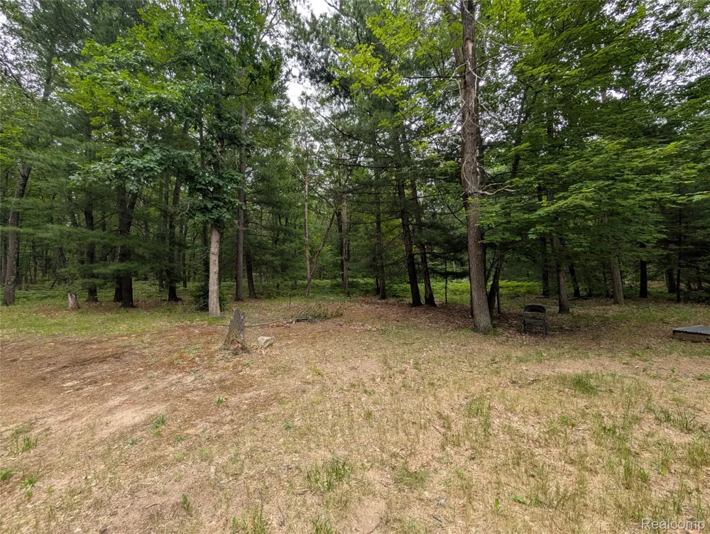 3817 S Townline Road Denton Township, MI 48651