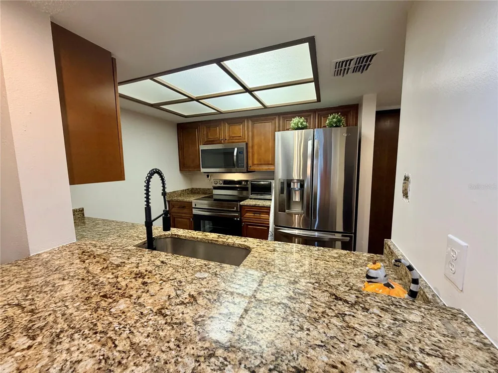 13602 S VILLAGE DRIVE #1106 Tampa, FL 33618
