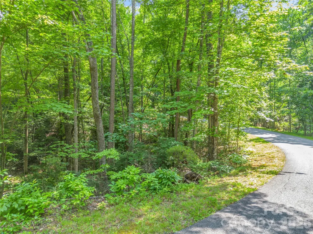 Lot 82 Lakewood Drive Lake Lure, NC 28746