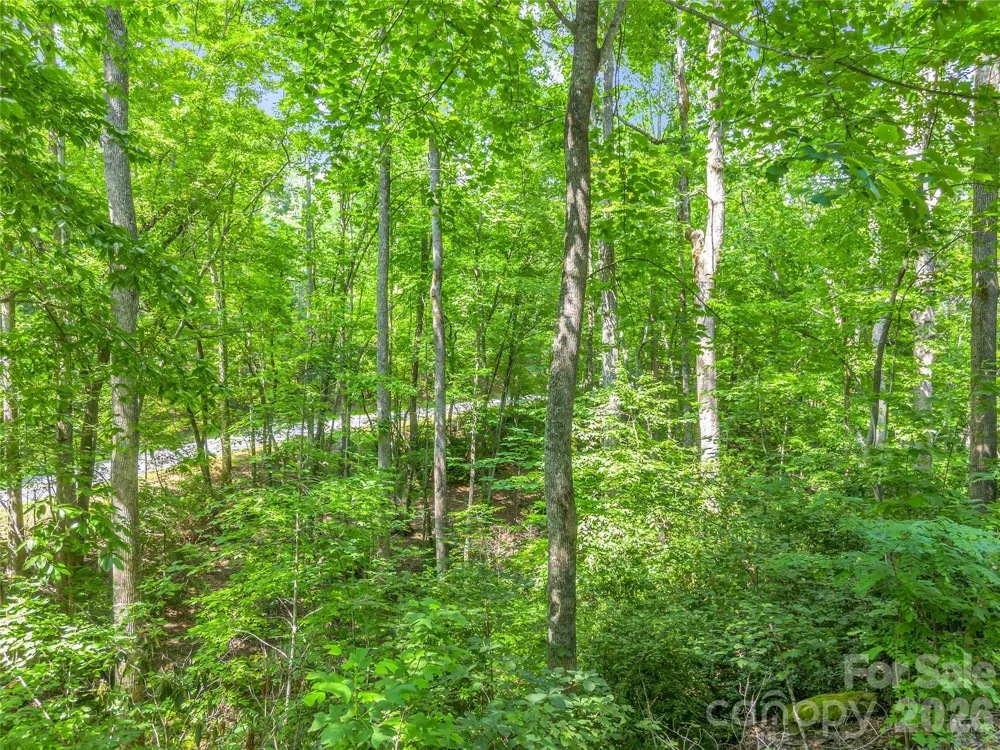 Lot 82 Lakewood Drive Lake Lure, NC 28746
