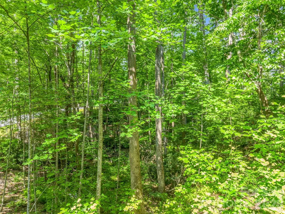 Lot 82 Lakewood Drive Lake Lure, NC 28746
