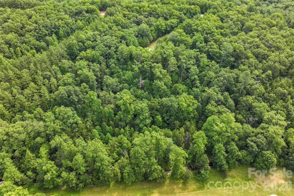 Lot 18 Stratford Place Mill Spring, NC 28756