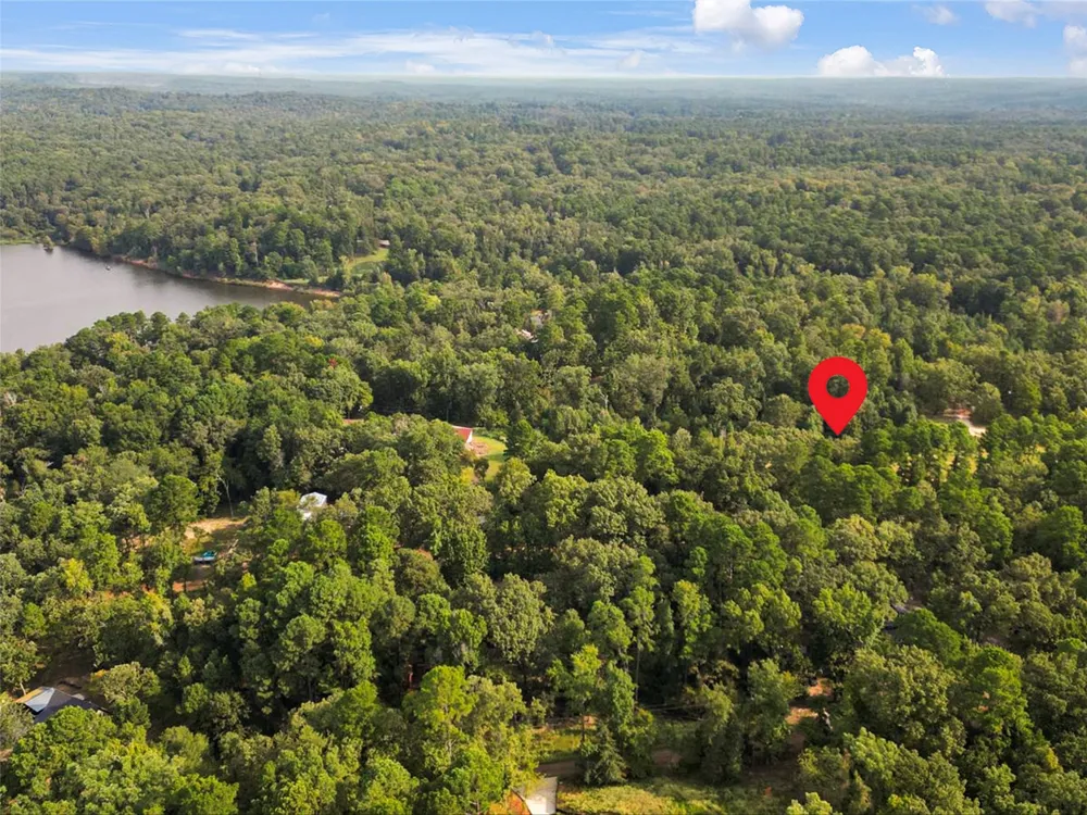 220 Dale DR Avinger, TX 75630