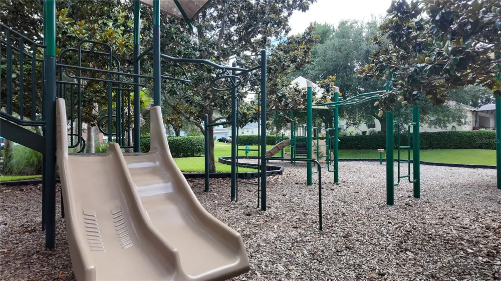 5620 WINDSONG OAK DRIVE Leesburg, FL 34748
