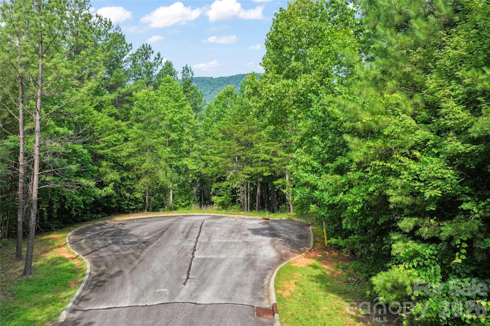 Lot 24 Monteith Place Mill Spring, NC 28756