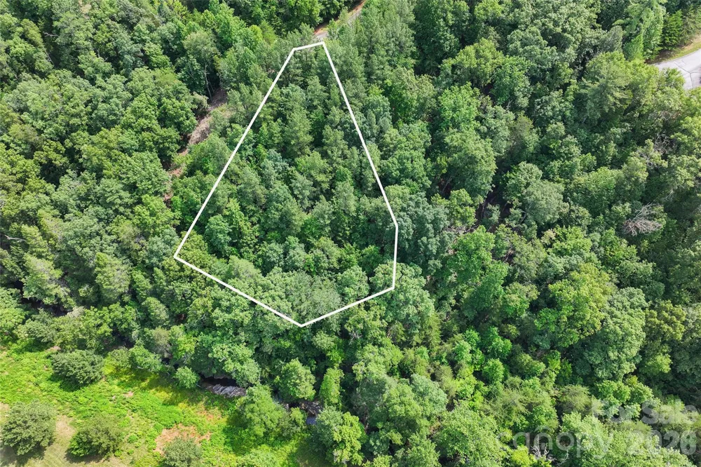 Lot 24 Monteith Place Mill Spring, NC 28756