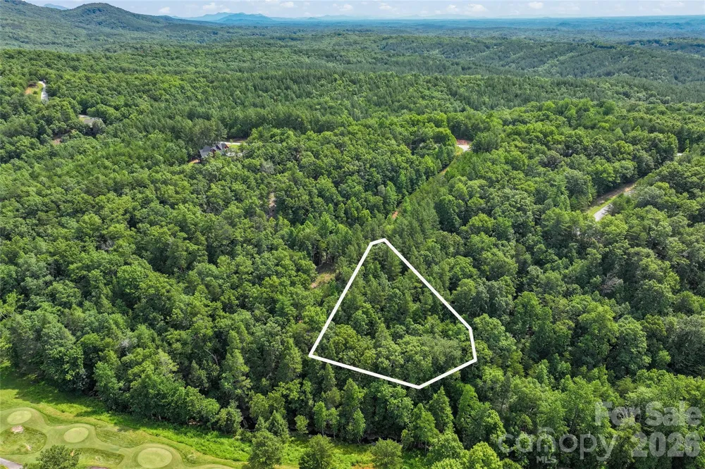 Lot 24 Monteith Place Mill Spring, NC 28756