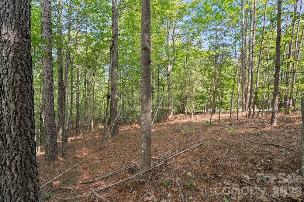 Lot 24 Monteith Place Mill Spring, NC 28756