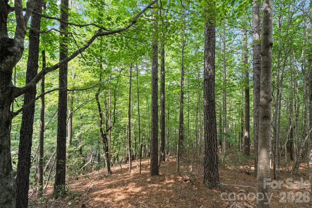 Lot 24 Monteith Place Mill Spring, NC 28756