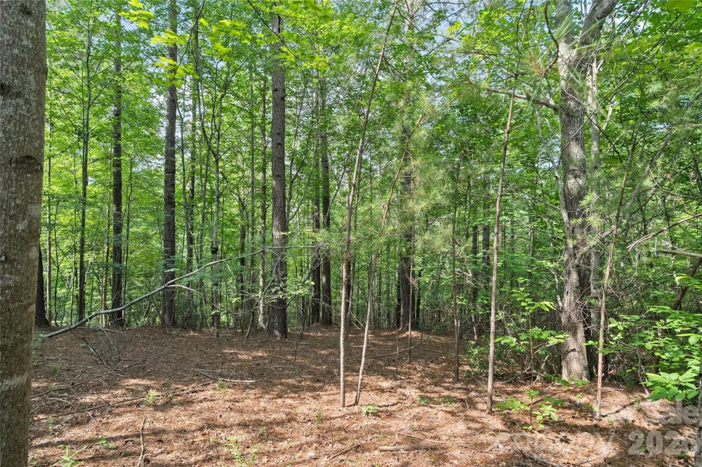 Lot 24 Monteith Place Mill Spring, NC 28756