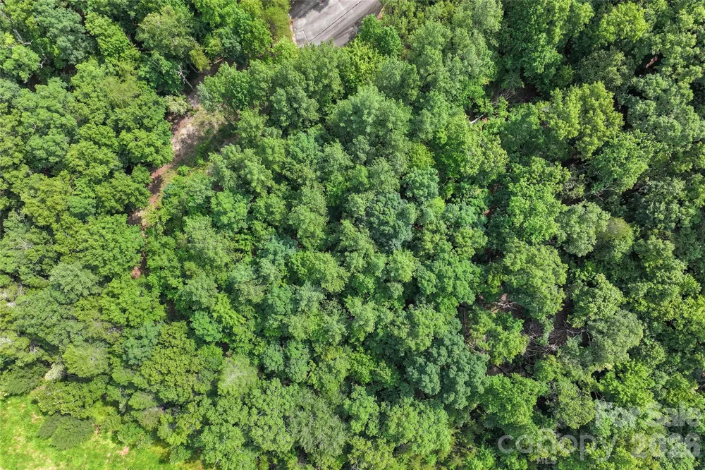 Lot 24 Monteith Place Mill Spring, NC 28756