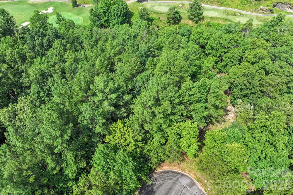 Lot 24 Monteith Place Mill Spring, NC 28756