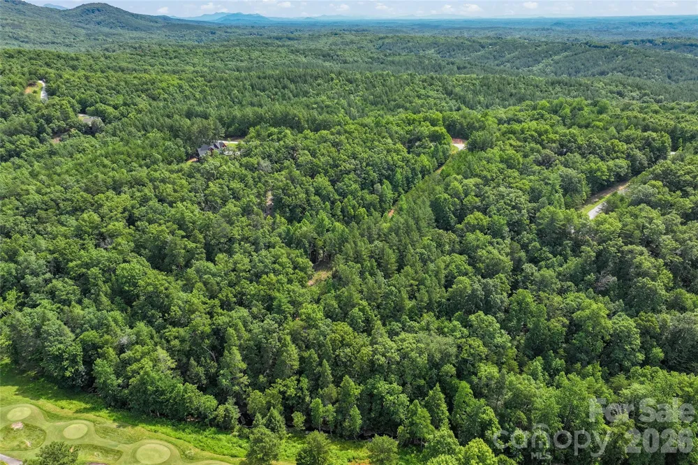 Lot 24 Monteith Place Mill Spring, NC 28756