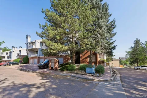 3684 Iguana Drive