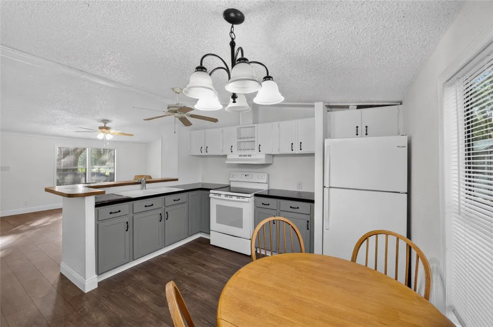 14210 NW HIGHWAY 464B Morriston, FL 32668
