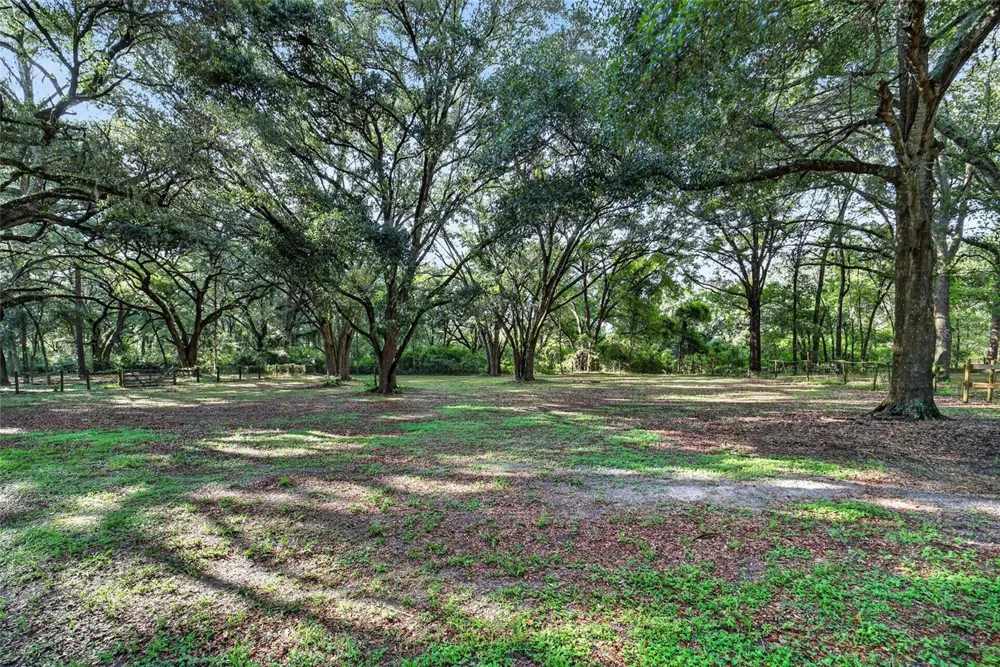 14210 NW HIGHWAY 464B Morriston, FL 32668