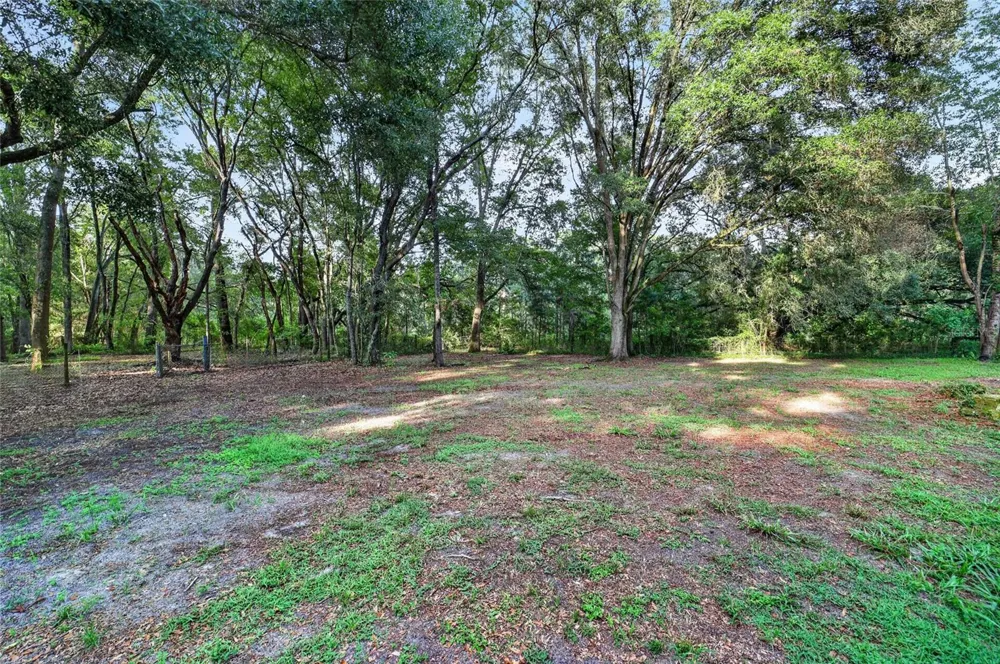 14210 NW HIGHWAY 464B Morriston, FL 32668