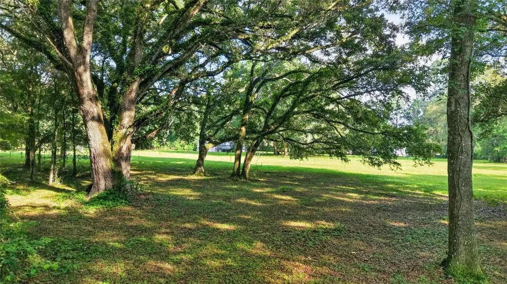 14210 NW HIGHWAY 464B Morriston, FL 32668
